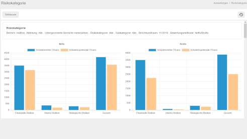 Risikomanagement-Software mathos::risk - Auswertung Risikokategorie